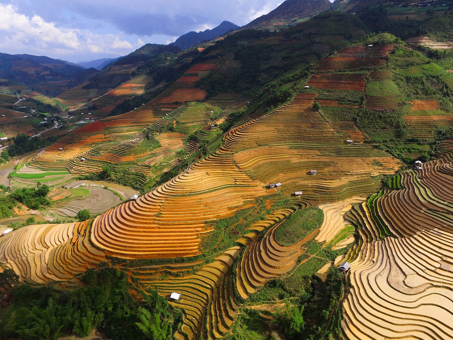 Ruộng bậc thang mùa lúa chín vùng Tây Bắc